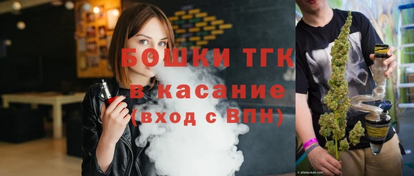 Альфа ПВП Горняк