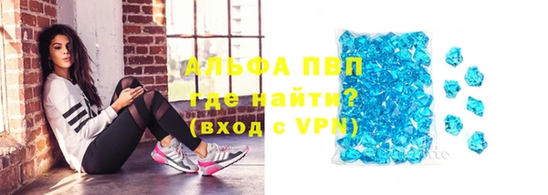 Альфа ПВП Горняк