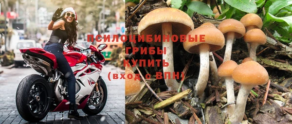 Альфа ПВП Горняк
