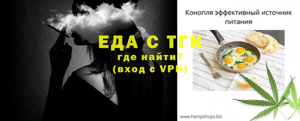 Альфа ПВП Горняк
