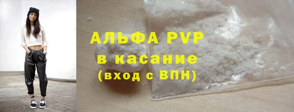 Альфа ПВП Горняк
